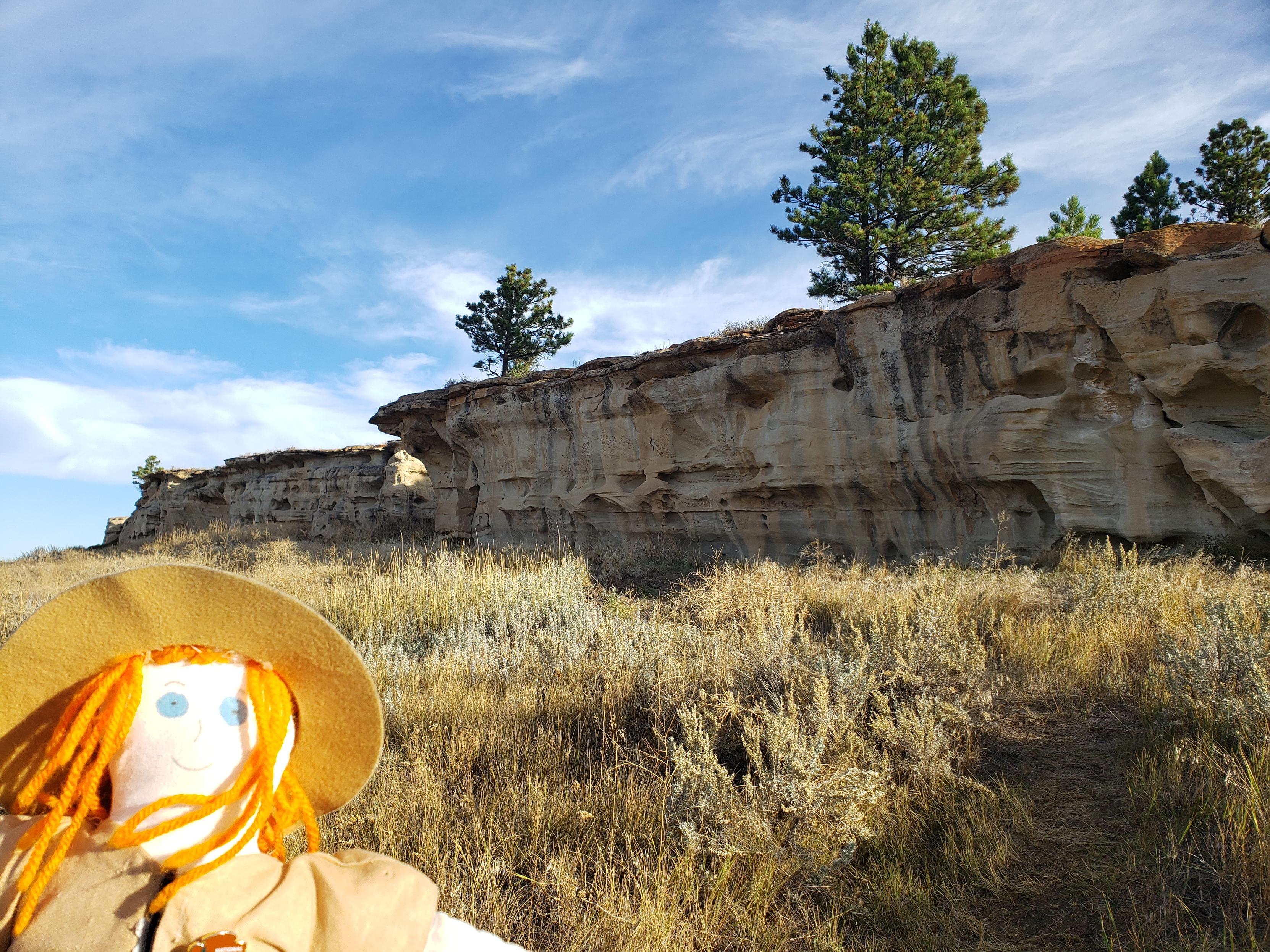 Ranger Sarah has reached the 200' long sandstone cliff that Native American groups used as a buffalo jump. The jump is known as the Kobold Buffalo Jump.
— at Rosebud Battlefield State Park.
