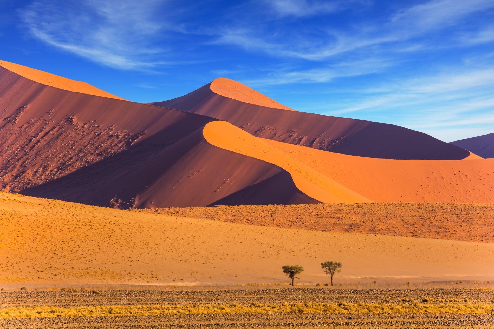 DÉSERT DE NAMIBIE 
Le plus vieux désert du monde
