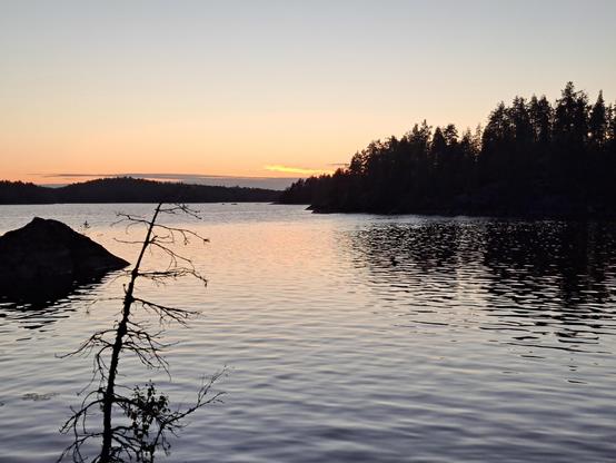 Aurinko on jo painunut horisontin taakse. Kuva järveltä, etualalla kuivuutta pieni mänty, luotoja.  Oikealla metsäinen korkeahko ranta.
