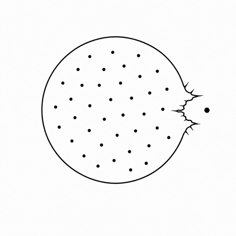 Posted media