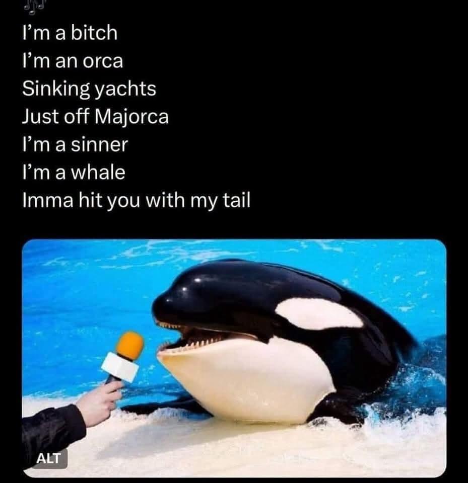 I'm a bitch

I'm an orca

Sinking yachts

Just off Majorca

I'm a sinner

I'm a whale

Imma hit you with my tail