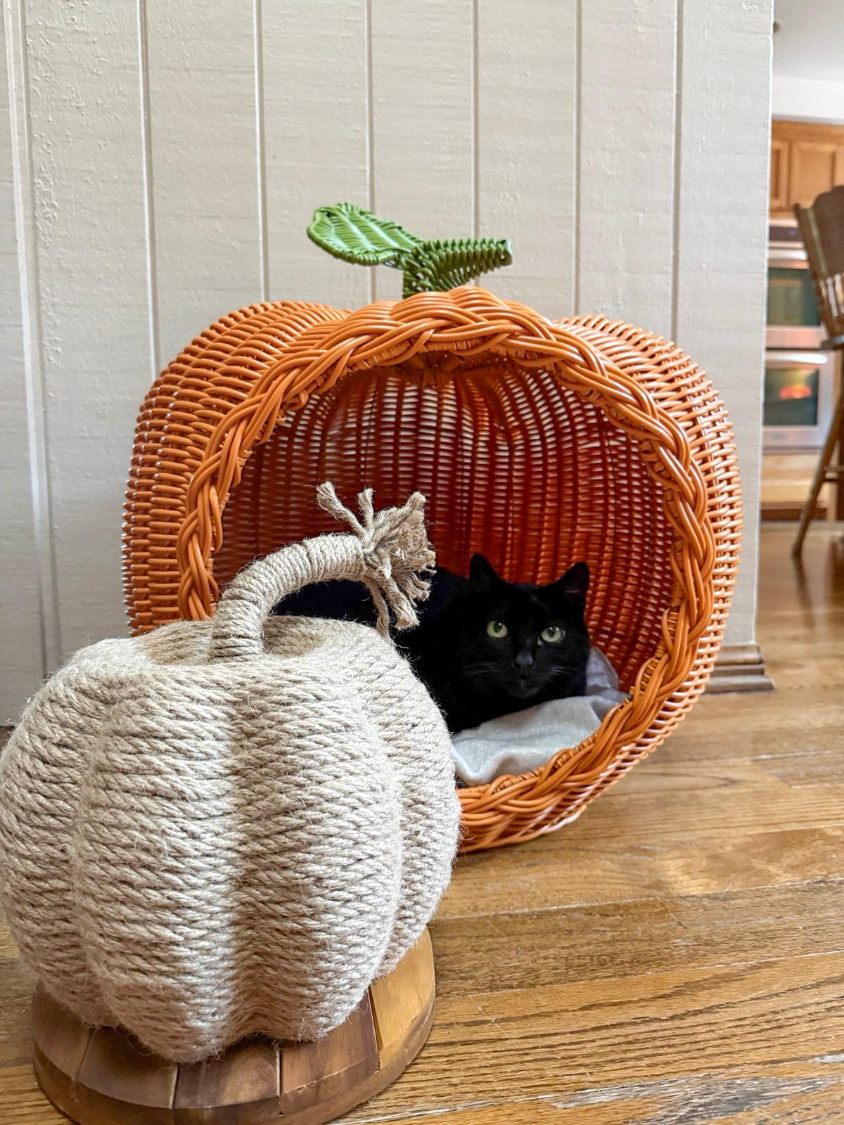 A black cat laying inside an orange, wicker,  pumpkin-shaped cat bed/enclosure.