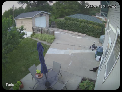 High mounted camera show a patio with a set of patio furniture and a garage in the background. A black cat is sitting inches in front of the back door facing it.