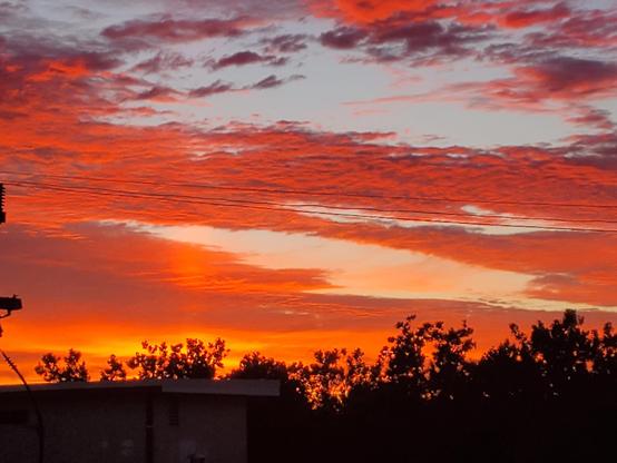 Posted media