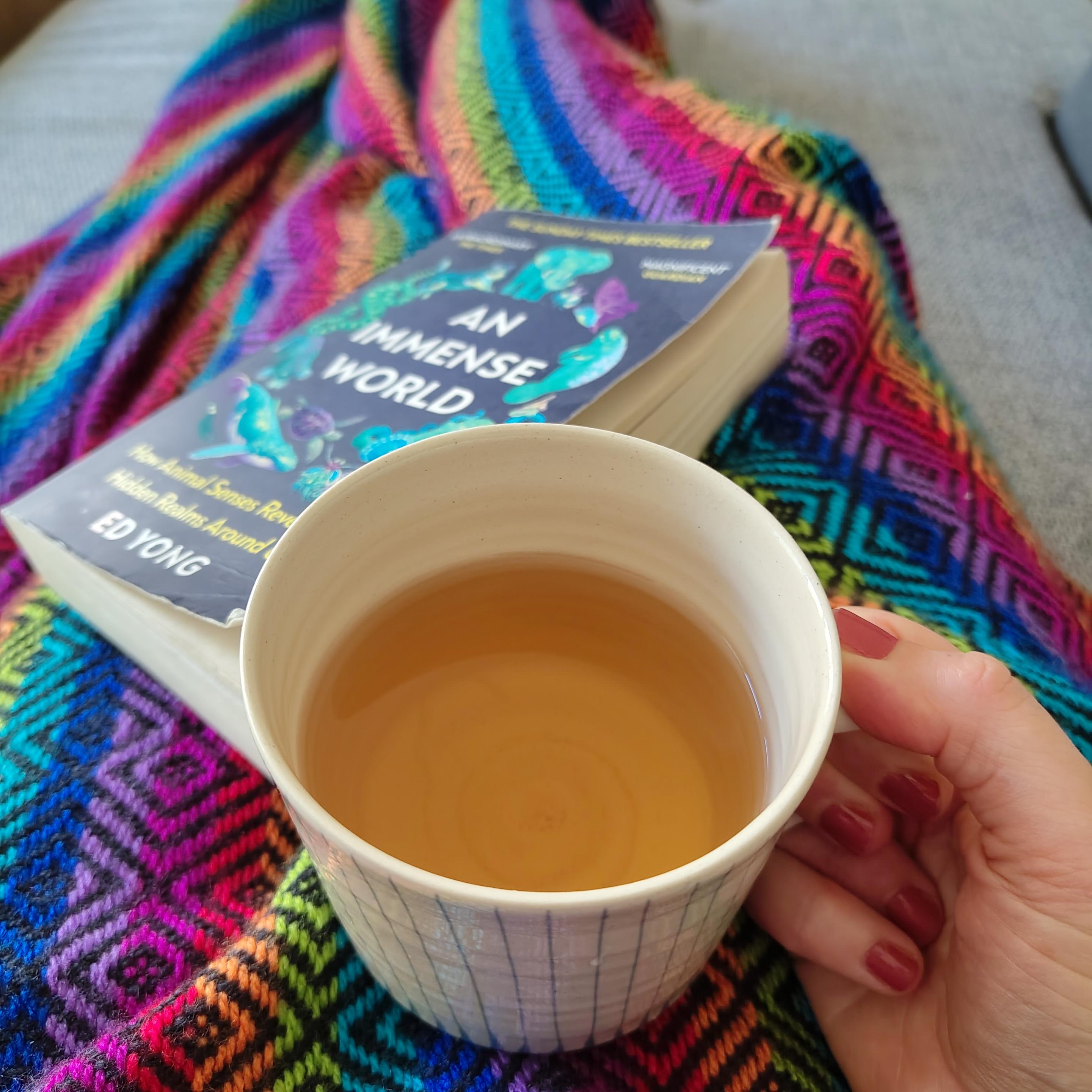 My hand holding a tea cup on top of a very colourful blanket. Next to it the vook "Ab immense world" by Ed Yong.
