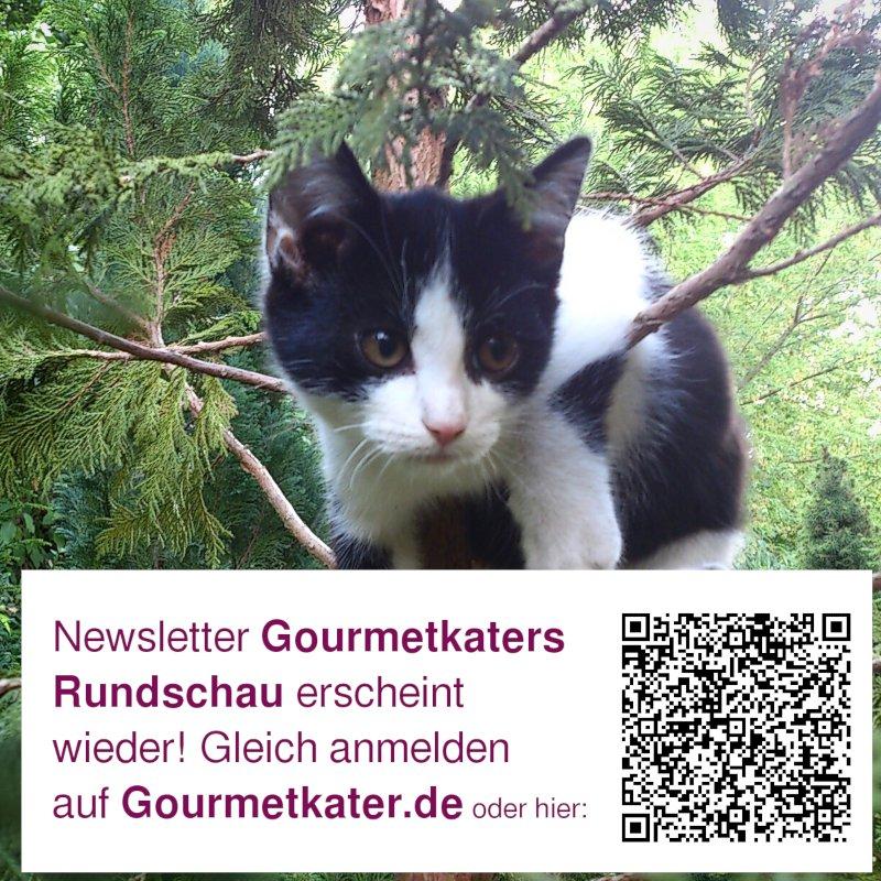 Gourmetkaters Rundschau