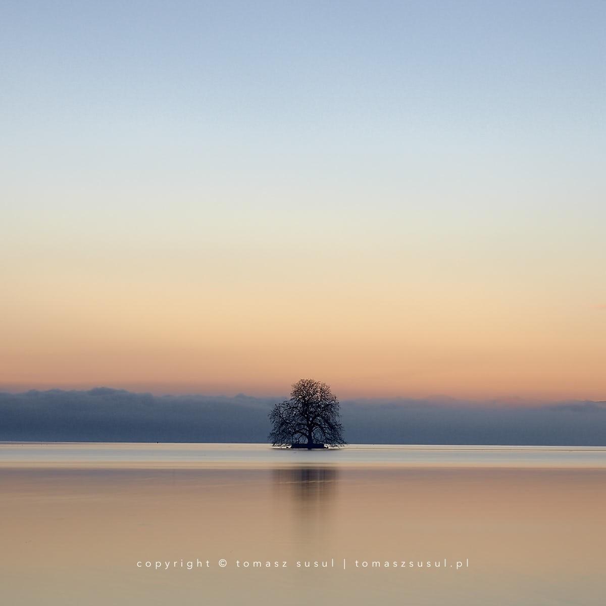 A solitary tree stands as a focal point in the middle of a vast, mirror-like body of water. The expansive sky above transitions through a soft gradient of pale blue and muted peach tones near the horizon. In the distance, a low dark clouds provides a subtle boundary between the earth and lake. The perfectly still surface reflects the intricate texture of the tree's branches, creating a sense of symmetry.