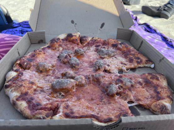 Picture of a delicious sausage pizza with…Gigantic chunks of sausage instead of an even covering of sausage.
Like seriously, each of these chunks is at least an inch cross
