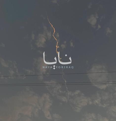 Posted media