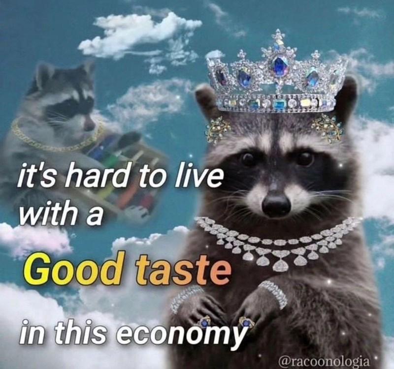 A beautiful raccoon queen, dripping in "diamonds." She wears a very fancy diamond and sapphire crown, a three-string diamond necklace, and several diamond bracelets and rings. A blue sky with white clouds is behind her, as well as another raccoon face in 3/4 profile at 50% opacity. The text reads "it's hard to live with a Good taste in this economy."
