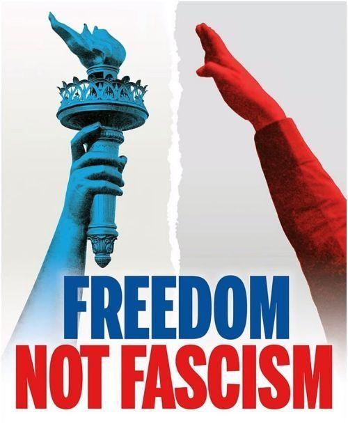 Blue Statue of Liberty torch on the left contrasts with a red arm raised in an authoritarian salute on the right, split by a torn vertical line, with the bold headline "FREEDOM NOT FASCISM."