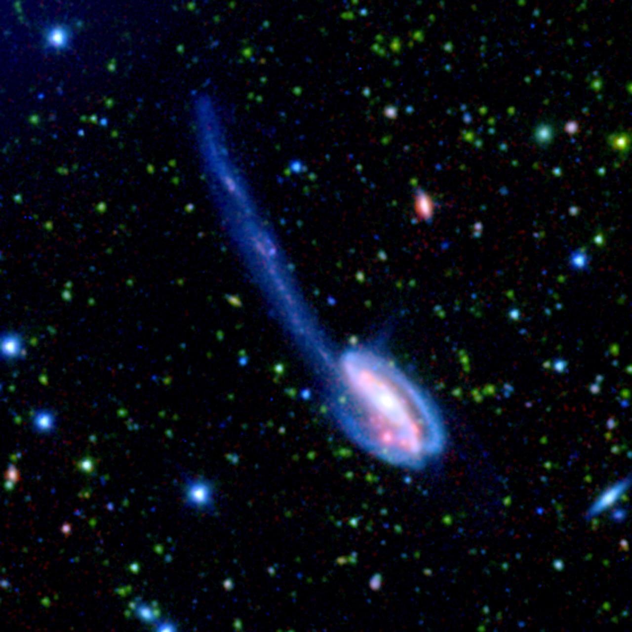 In the bottom right corner is a spiral galaxy with a bright pink-white central core encircled by two wispy arms that form a loose spiral around the core. The view is somewhat oblique, giving the galaxy an oval appearance. A long, thin, diffuse stream of blue stars and gas extends from the upper left side of the galaxy up to the upper left corner of the frame. Scattered across the background are hundreds of tiny smudges of light, which are stars and background galaxies. They vary slightly in size, shape, and color. Most appear in the shape of small dots, ovals, or lines. They come in different shades of red, blue and green.