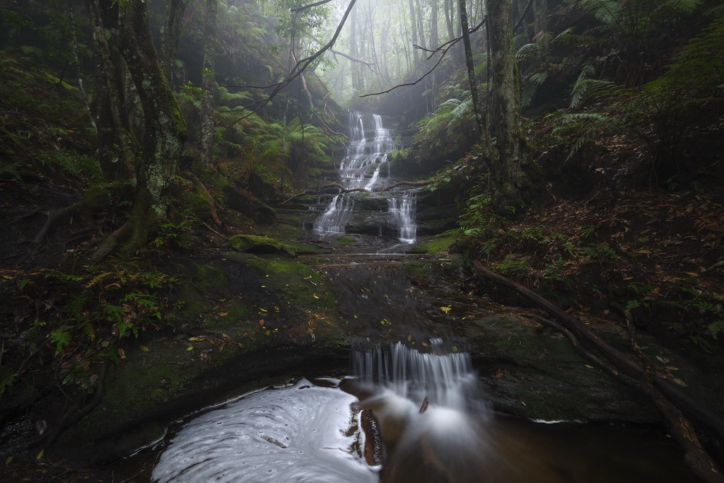 Waterfall in a forest on a foggy day