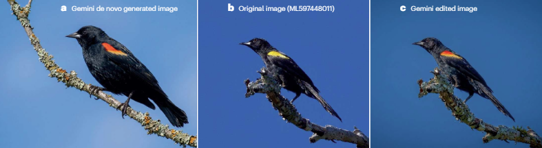 Large-language-model image generation and manipulation