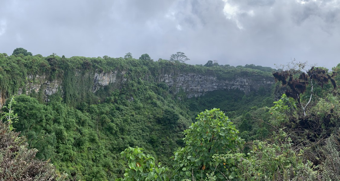 One of the twin craters (“Los Gemelos”) on Santa Cruz is located in the cloud forest zone on Galápagos.