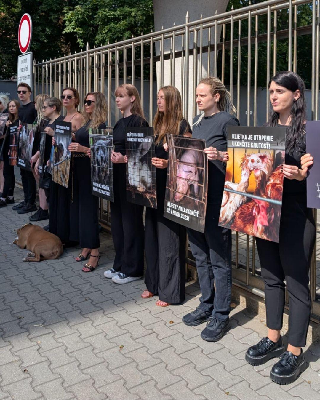 Zhromaždenie Humánneho pokroku pred budovou Zastúpenia komisie na Slovensku.