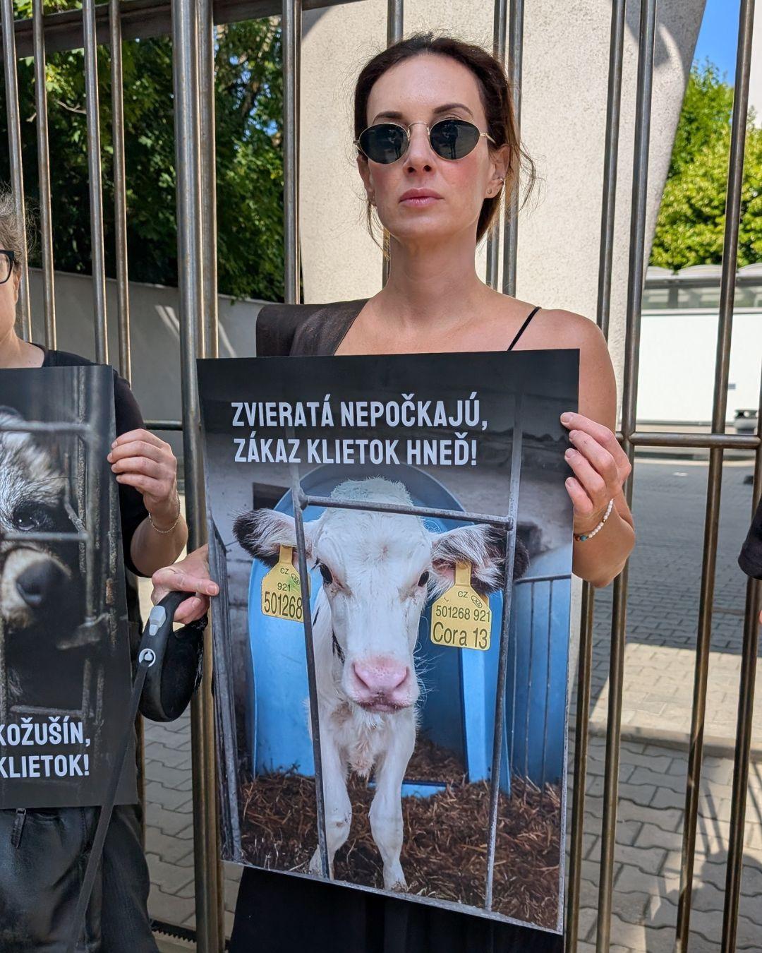 Zhromaždenie Humánneho pokroku pred budovou Zastúpenia komisie na Slovensku.