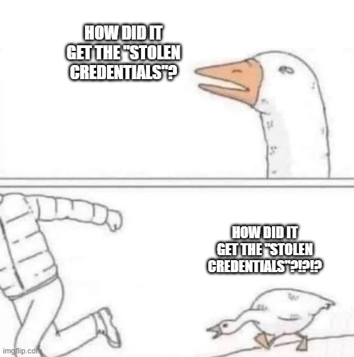 Goose meme: Goose asks 'How did it get the "stolen credentials"?'

Then, while chasing a man in a jacket, the goose asks again with a much more aggressive tone, 'How did it get the "stolen credentials"?!?!?'