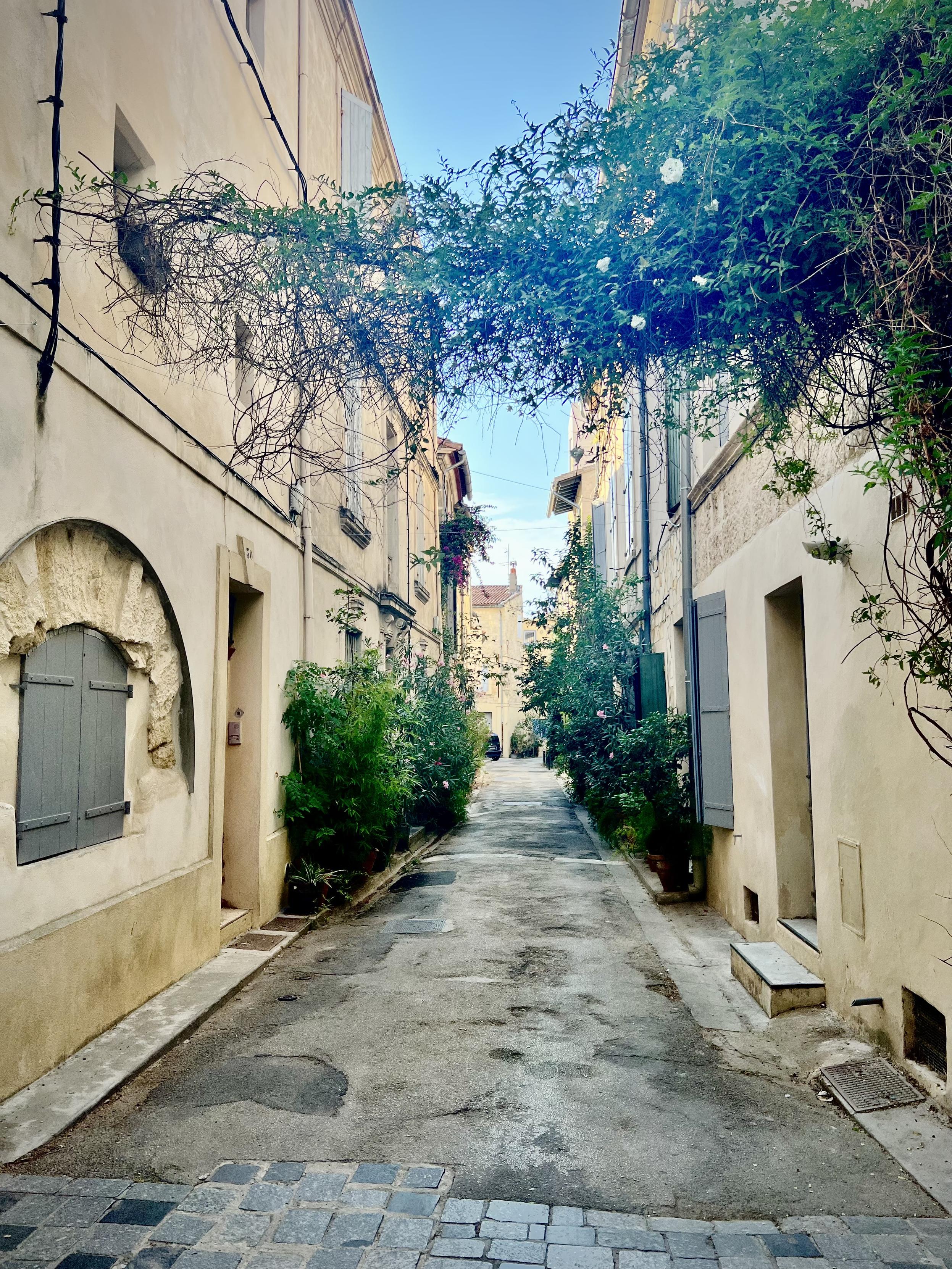 ‎⁨Arles⁩, ⁨Côte Camarguaise⁩, ⁨France⁩

A quiet, narrow alleyway is flanked by light stucco buildings with grey wooden shutters. Lush green vines and climbing plants arch overhead across the passage and grow in potted planters along the base of the walls. The paved street stretches forward into the distance under a clear, bright sky.