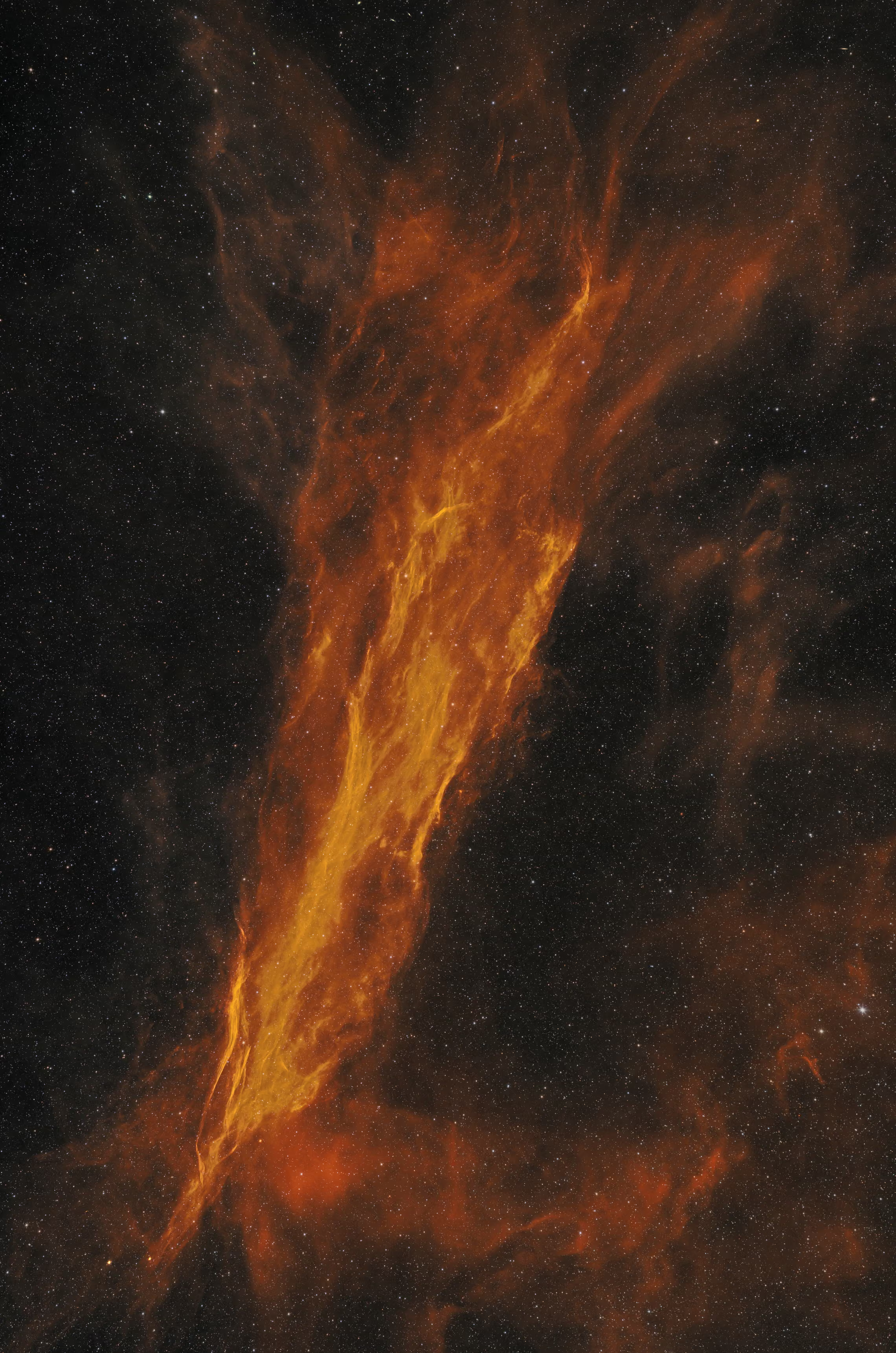 A vertical deep-space photograph of the nebula Gum 12b. A dramatic column of glowing orange and yellow filaments stretches diagonally from the bottom-left toward the top-right, fanning out into delicate, flame-like wisps at the top. The intense, fiery tendrils contrast sharply with a dark black background peppered with thousands of tiny, distant stars, with subtle reddish dust clouds glowing faintly around the lower edges.