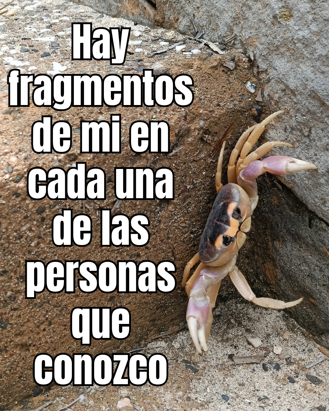 se leen letras "Hay fragmentos de mi en cada una de las personas que conozco" con un cangrejo al lado