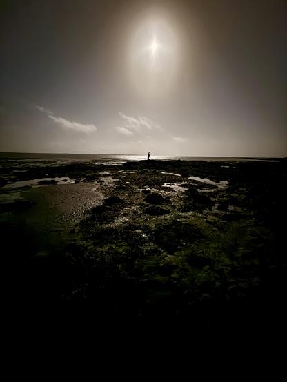 Skerjafjörður with the great auk sculpture at low tide. Picture is a 3 second exposure and was taken with a solar filter. 