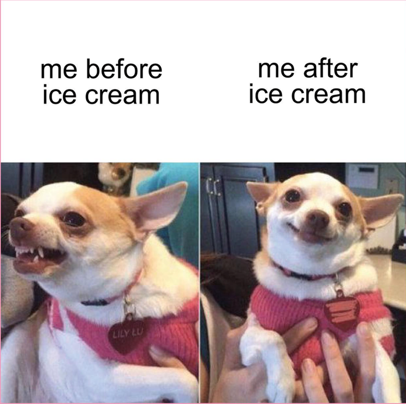 Two images of a chihuahua, one with teeth bared, captioned “me before ice cream,” and the next with the same chihuahua, seeming to smile with contentment, captioned “me after ice cream.”