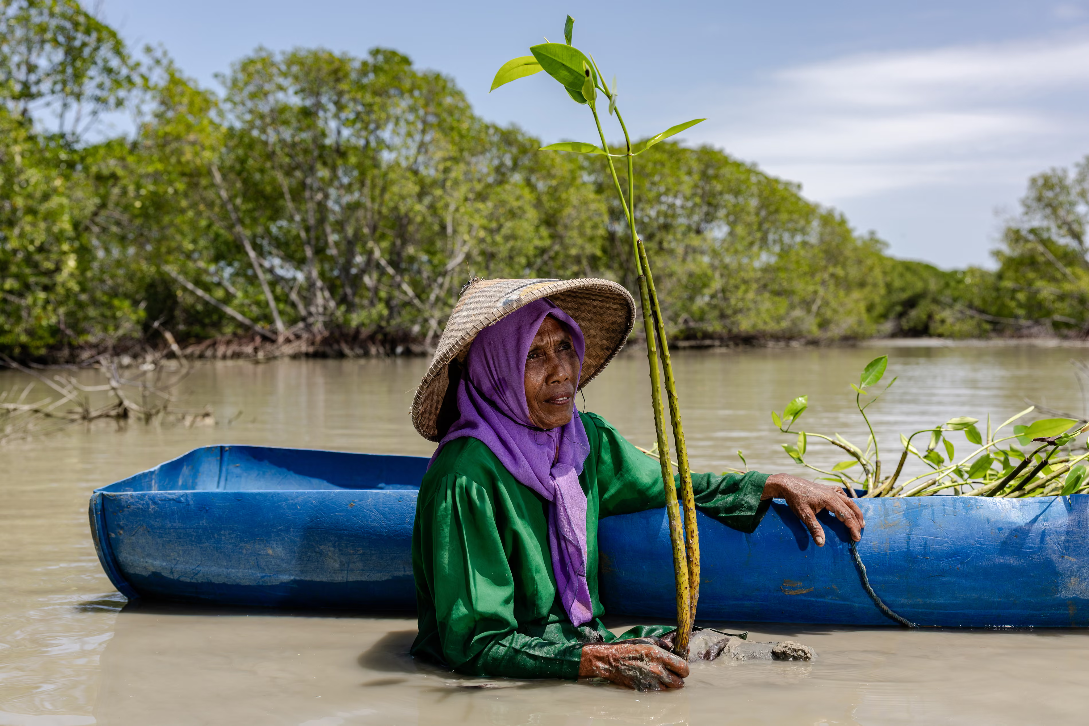 Pasijah, 56, plants mangrove seedlings beside her flooded home in Bedono, Demak, Central Java.