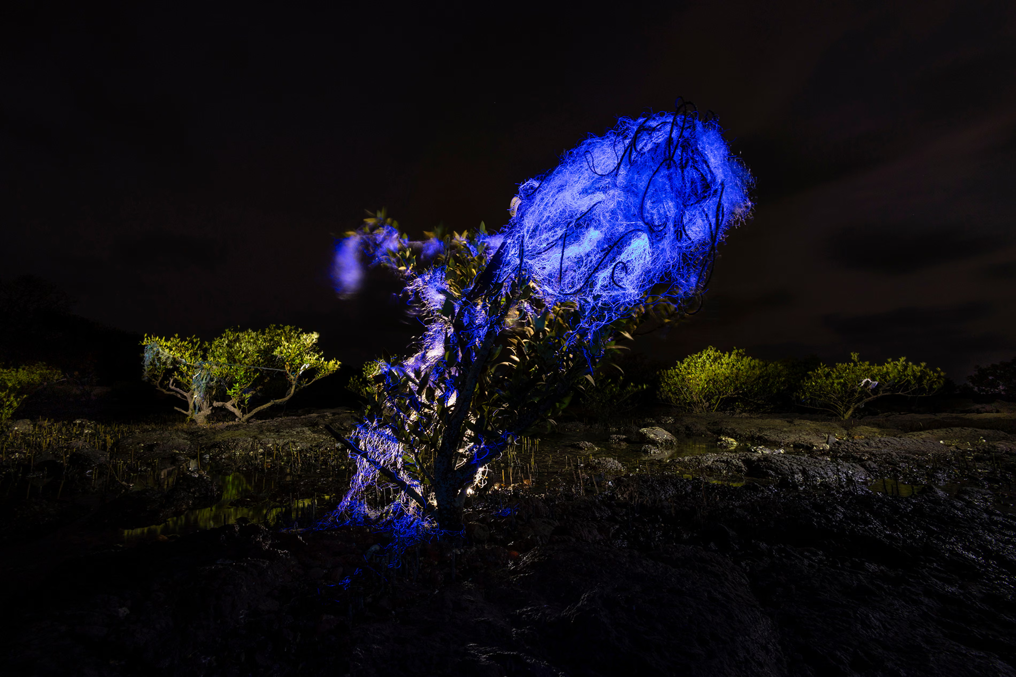 A ‘ghost’ fishing net glowing under ultraviolet light, tangled in a mangrove.

Captured on a 13-second UV exposure, the image reveals a quieter conservation crisis: discarded nets carried in by currents and trapped in mangroves, turning these vital coastal barriers into hidden garbage hotspots. While the impact of ‘ghost gear’ – fishing equipment such as nets discarded in the ocean – on open-water marine life is increasingly documented, its accumulation in mangrove ecosystems on India’s coast has received far less attention. Mangroves sit at the interface between land and sea, meaning they can end up receiving waste from both directions. ‘I came across this particular mangrove patch where discarded fishing nets were getting trapped during high tide,’ said the photographer Gaurav Patil. ‘These nets meet the oceanic currents, which bring them to the coast. I have been watching ghost nets getting trapped in mangroves for the last several years, and I wanted to document it in an artistic manner to grab the attention of the viewers.’
Photograph: Gaurav Patil/MPOTY