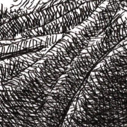 Auto-portrait. Dessin-détail 2