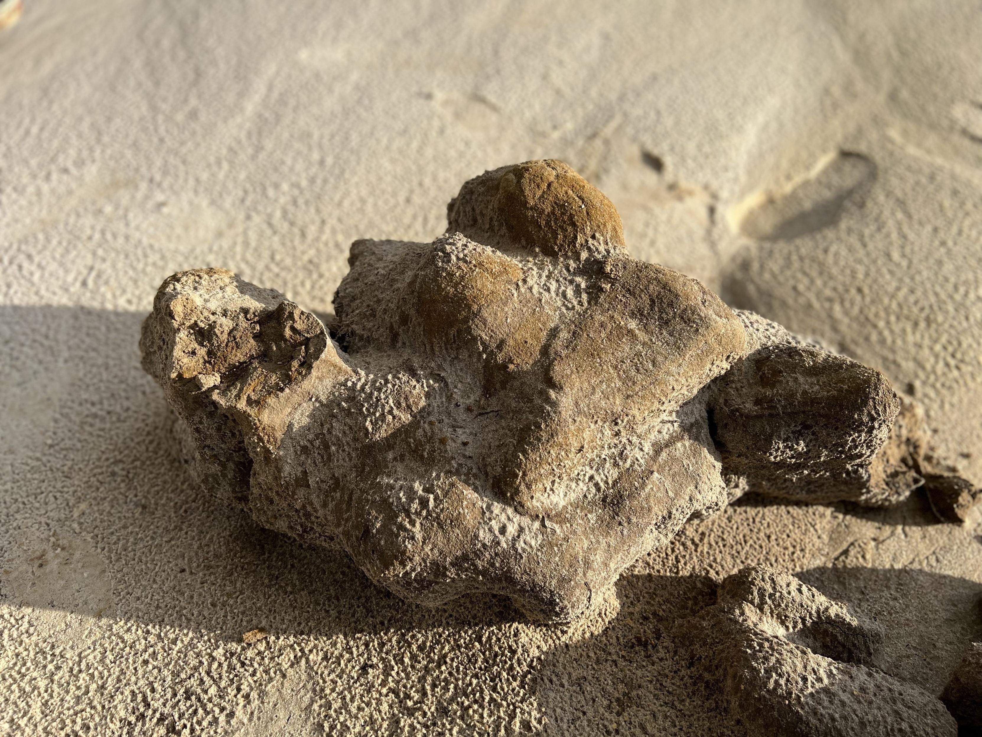 A gray-tan hunk of sandy clay dusted over with sand, partially buried in sandy terrain, illuminated by natural light.