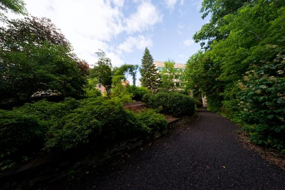 A path progresses from the bottom towards the upper right behind a mostly obscured building with lots of lovely shrubs in the way