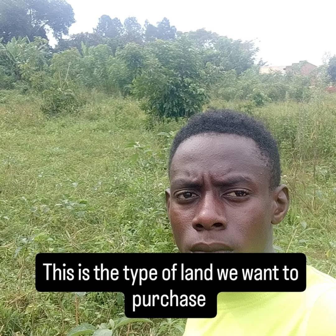 Hi #MastodonFamily , I’m messaging you directly because our fundraiser is in its final days and we have completely stopped broadcasting general posts. High rental prices are eating up our conservation budget, so we are raising funds to buy a small permanent parcel of land. For just € 500 of every month (in 10 months), you can permanently fund and protect a square meter of our new headquarters.Could you help us buy our forever home today? Here is the direct link: https://gofund.me/e9243328d Thankyou