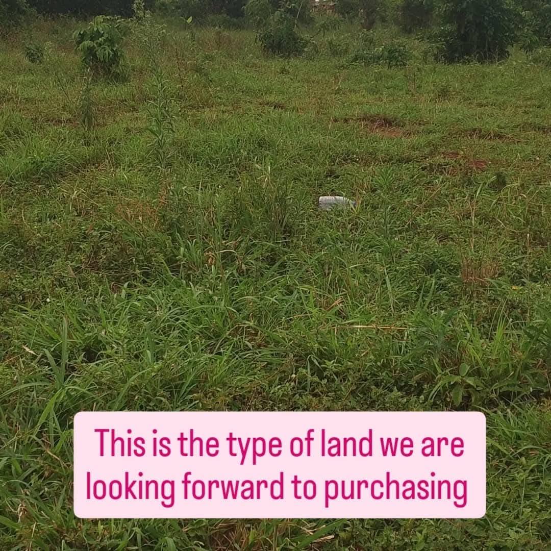 Hi #MastodonFamily , I’m messaging you directly because our fundraiser is in its final days and we have completely stopped broadcasting general posts. High rental prices are eating up our conservation budget, so we are raising funds to buy a small permanent parcel of land. For just € 500 of every month (in 10 months), you can permanently fund and protect a square meter of our new headquarters.Could you help us buy our forever home today? Here is the direct link: https://gofund.me/e9243328d Thankyou