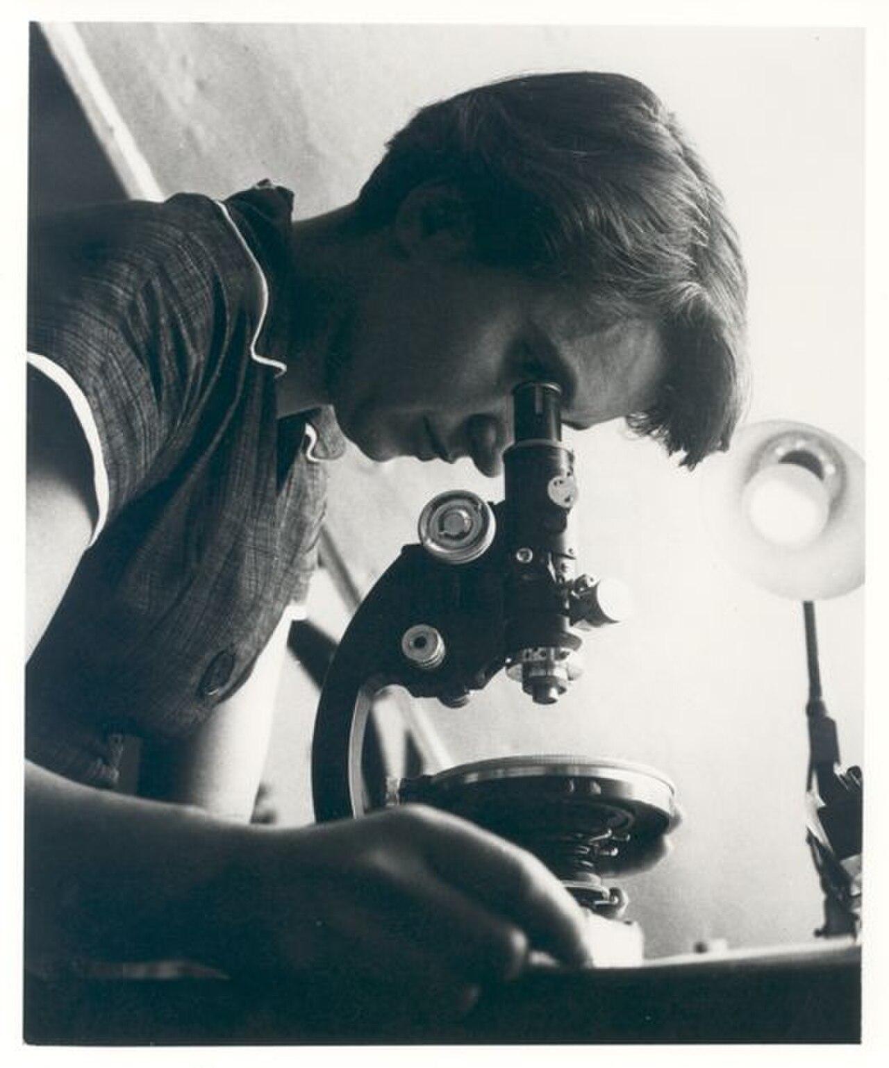 Imagen: Rosalind Elsie Franklin