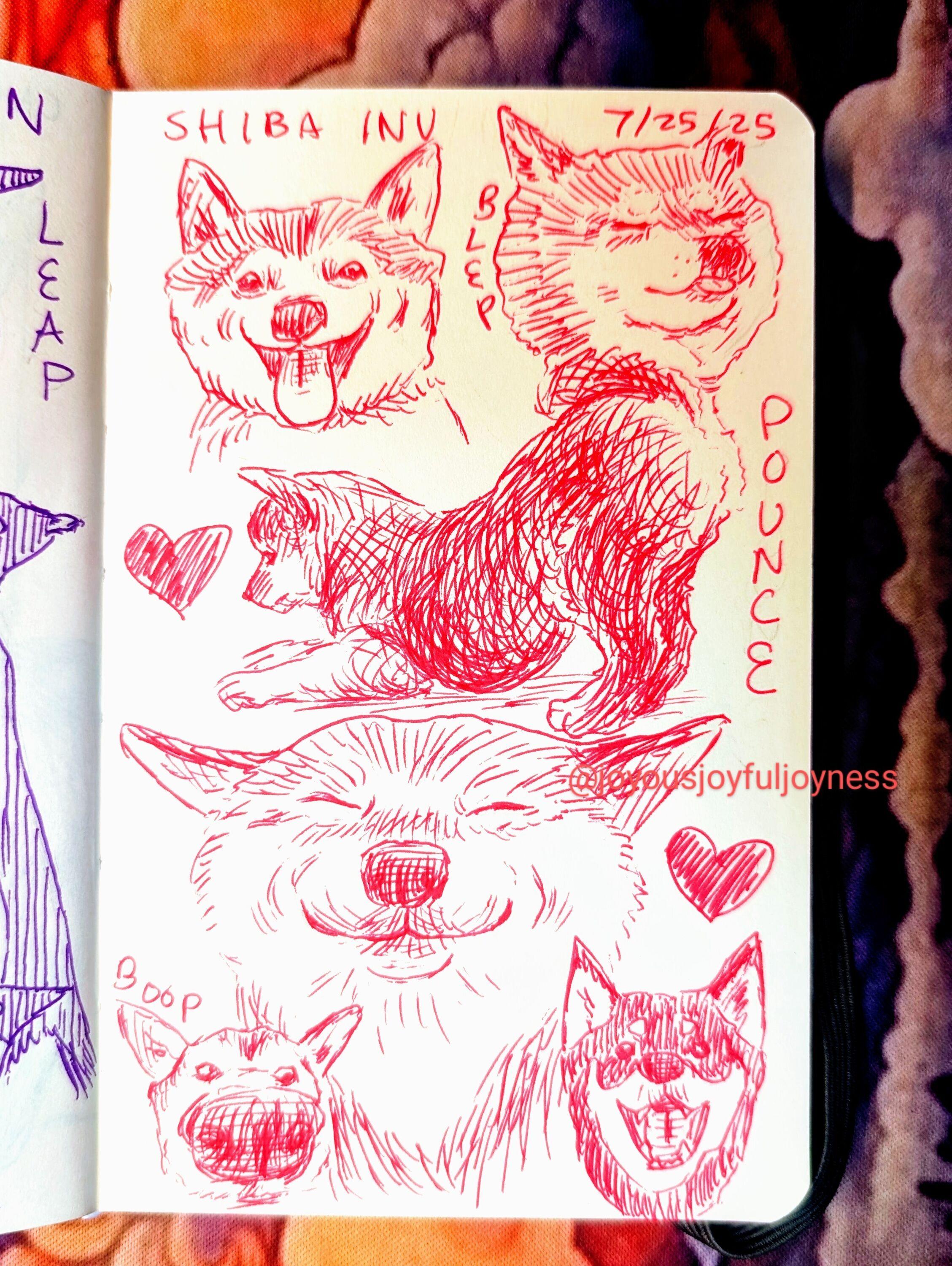 Sketchbook page of 6 drawings of Shiba Inus in pink pen. The text at the top of the page is Shiba Inu and 7/25/25. The top left Shiba is smiling. The top right is a shiba with his eyes closed and tongue out with the word Blep. Below is a drawing of a Shiba in profile pouncing and the word Pounce. There is a heart to the left. Below that is a smiling Shiba with his eyes closed. At the bottom left is a close up of a Shiba's nose and the word Boop. To the bottom right is a dark furred Shiba with his mouth open and a heart above.