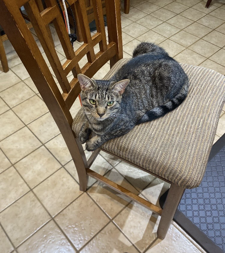 This is my chair