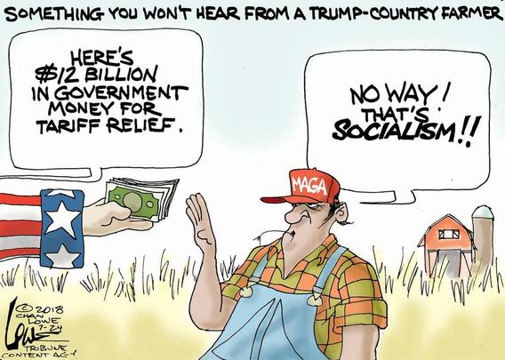Posted media
