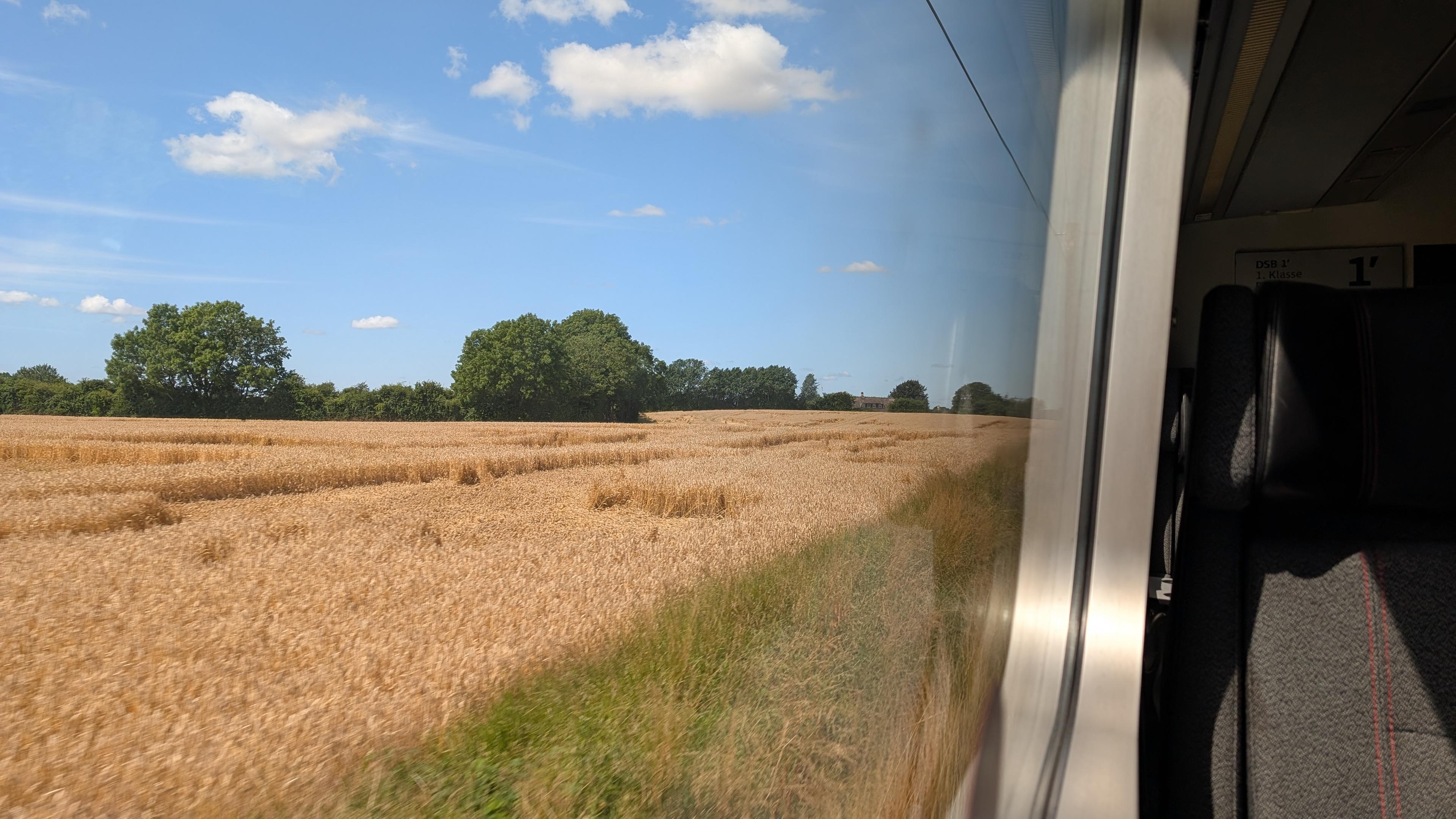 Harvested corn fields and some green trees seen through a train window