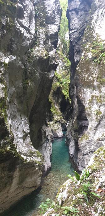 Vintgar Gorge, Slovenia