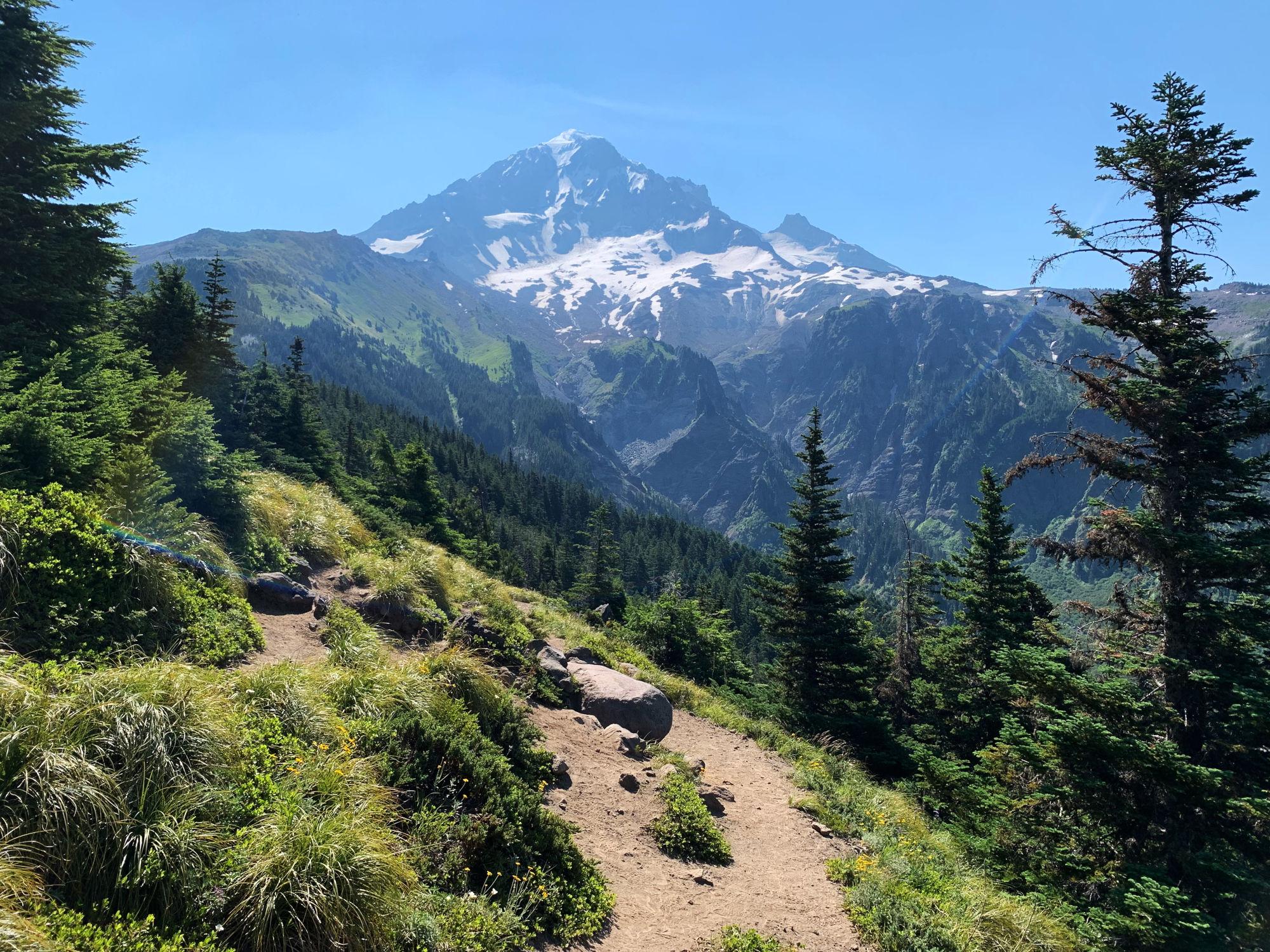 Path on a ridge winding into the trees, while Mt. Hood looms in the distance.