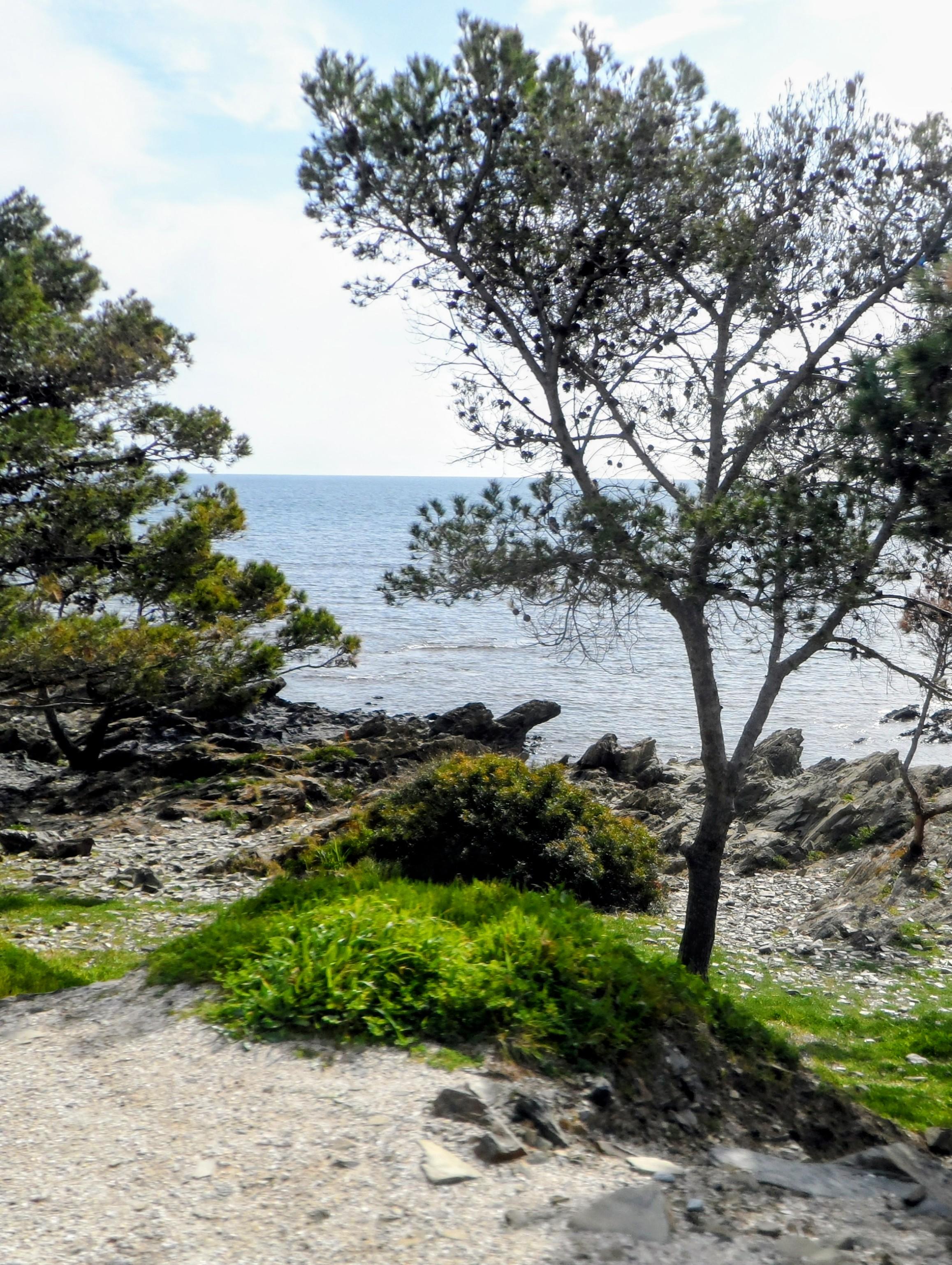 Op deze foto de middellandse zee met ervoor de ruige kust van Spanje, met rotsen en bomen.