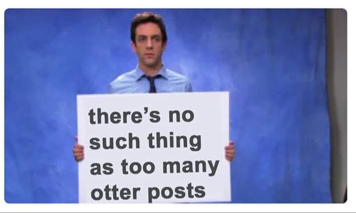 Steve the otter stands in a studio setting in front of a blue backdrop, holding a large white sign.