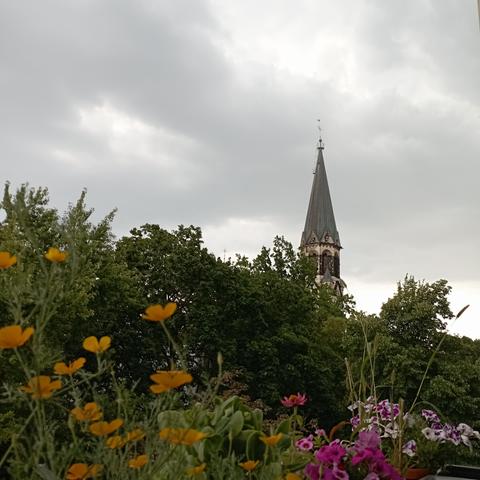 Schnappschuss Balkon 
Gelbe und violette Blumen in Balkonkästen 
Die Baumwipfel der Lilienthalstraße
Der Turm der St.Johannes Basilika 
Dunkle Wolken ziehen vorbei 