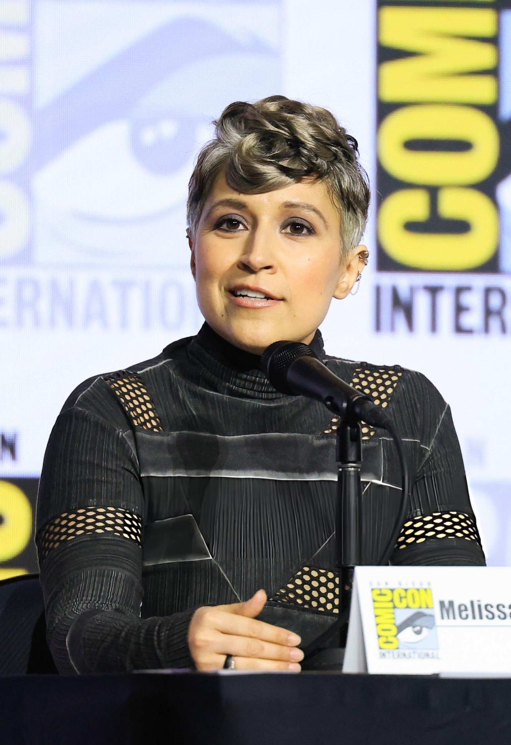 Melissa Navia at the panel dicussion at Hall H at SDCC.