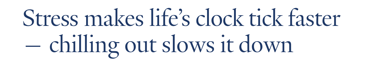 Screenshot of the headline for https://news.yale.edu/2021/12/06/stress-makes-lifes-clock-tick-faster-chilling-out-slows-it-down :
"Stress makes life’s clock tick faster — chilling out slows it down"