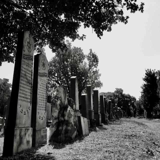 Picture of a row of graves with tombstones on the Vienna Central Cemetery. It was taken in the old jewish section, showing some of the simpler stones. No human person is visible. Photo is black and white.