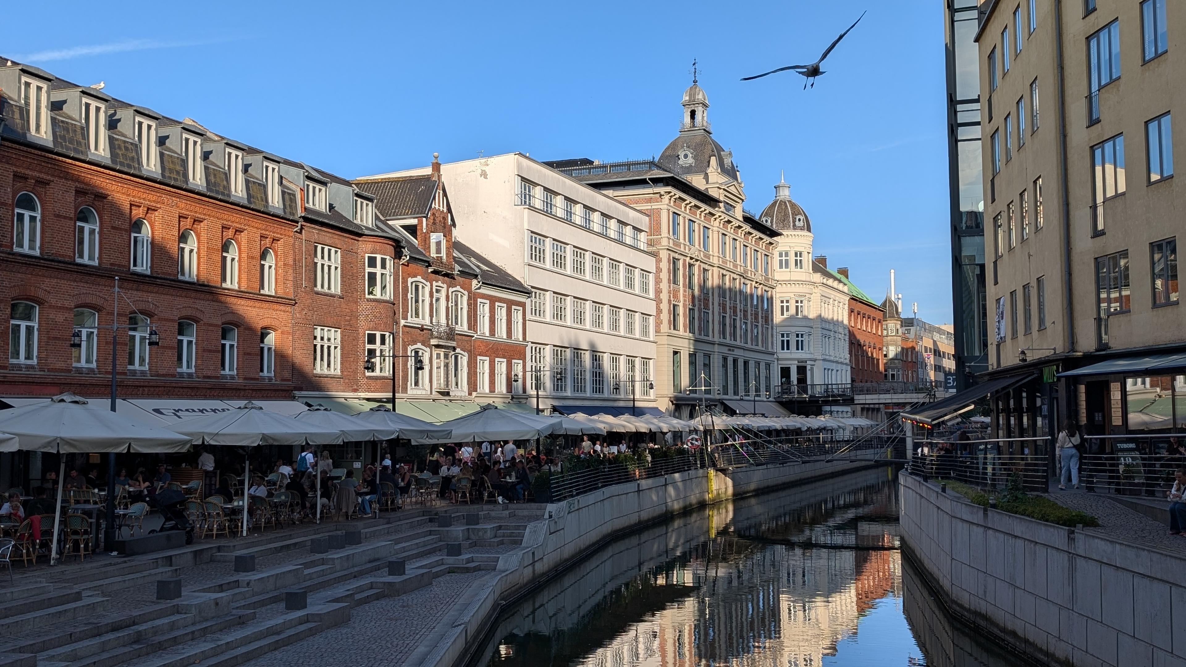 Aarhus Å canal in the late afternoon, modern buildings on the right casting shadows on the canal and the older buildings on the left, restaurant with outdoor seatings along the canal, blue sky, a seagull flying towards the camera