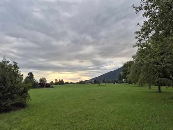 A green field with trees on either side