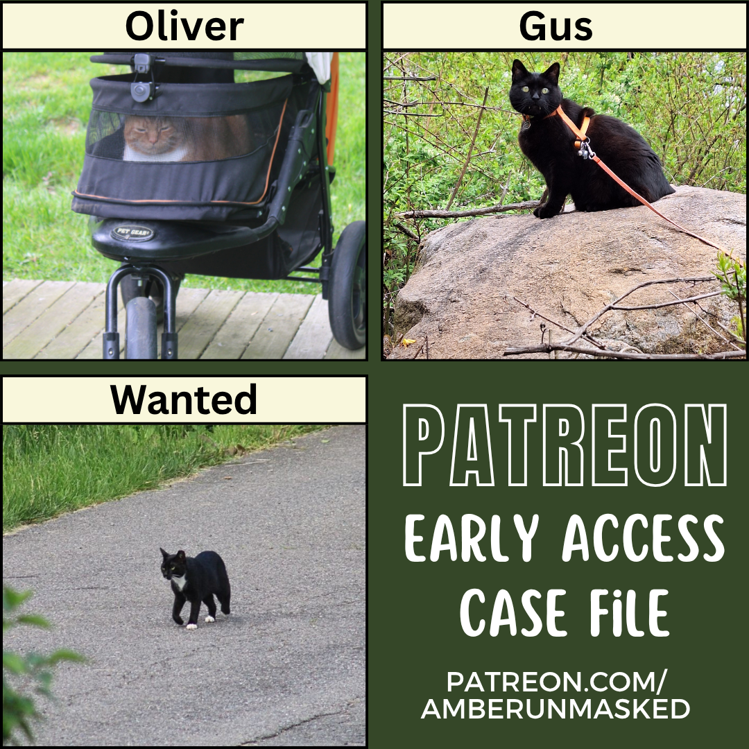 Collage: a collage of 3 photos:
orange tabby with white tuxedo pattern, Oliver (text above: Oliver); black cat Gus outside sitting on a cinder block (text above: Gus); a black and white Cat (text above: Wanted)
Text: Patreon early access case file patreon.com/amberunmasked